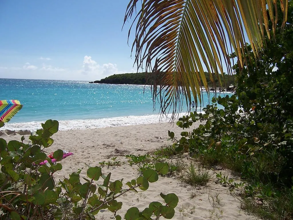 Guest house Casa De Kathy Hotel Vieques