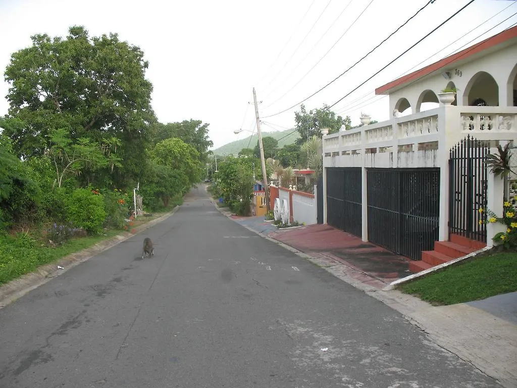 Casa De Kathy Hotel Vieques Guest house